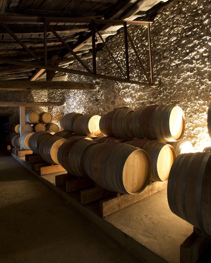 Maison Le Sepe - Vignoble Bio Et Maison D'Hotes Sainte-Radegonde  외부 사진